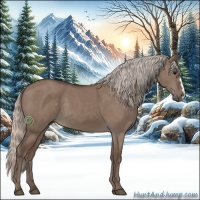 Horse Color:Silver Grullo