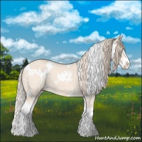 Horse Color:White Spotted Chocolate Perlino Splash 