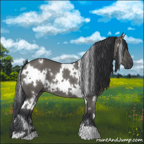 Horse Color:White Spotted Grullo 