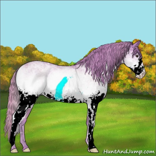 Horse Color:Watercolor White Spotted Chestnut