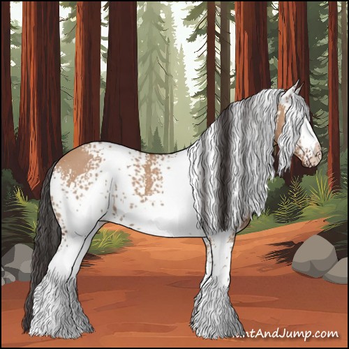 Horse Color:White Spotted Bay Dun