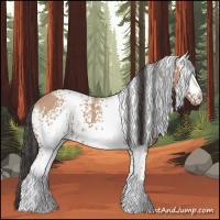Horse Color:White Spotted Bay Dun 
