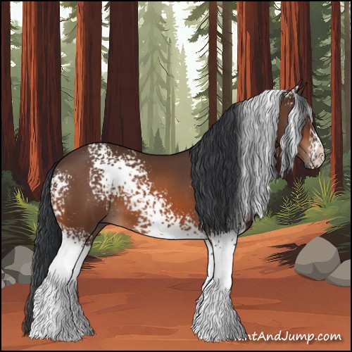 Horse Color:White Spotted Bay 