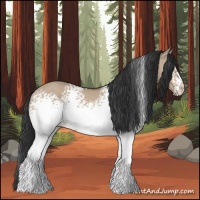 Horse Color:White Spotted Bay Dun