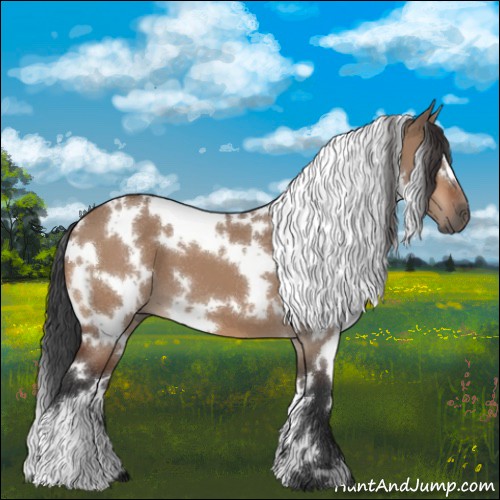 Horse Color:White Spotted Bay Dun