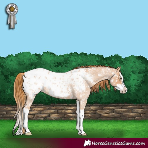Horse Color:Red Roan Splash Blanket