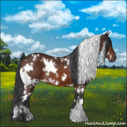 Horse Color:White Spotted Brown