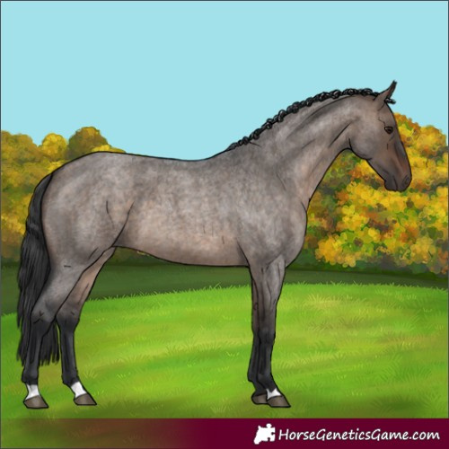 Horse Color:Brown Roan Dun 