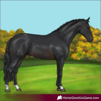 Horse Color:Brown 