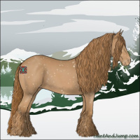 Horse Color:Red Roan Appaloosa 