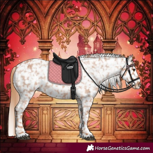 Horse Color:Red Roan Snowflake Varnish