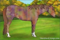 Horse Color:Nacre Chestnut 