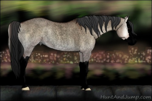Horse Color:Void Bay Roan Onyx Splash