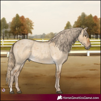 Horse Color:Chocolate Palomino Roan Dun 