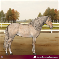 Horse Color:Chocolate Palomino Roan Dun 