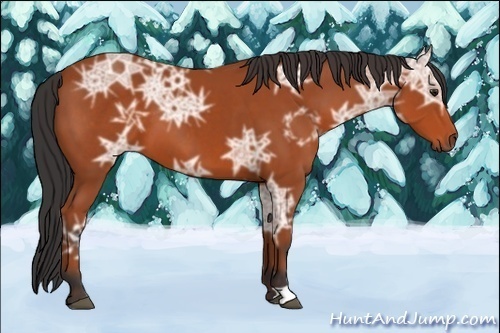 Horse Color:Bay Ice 