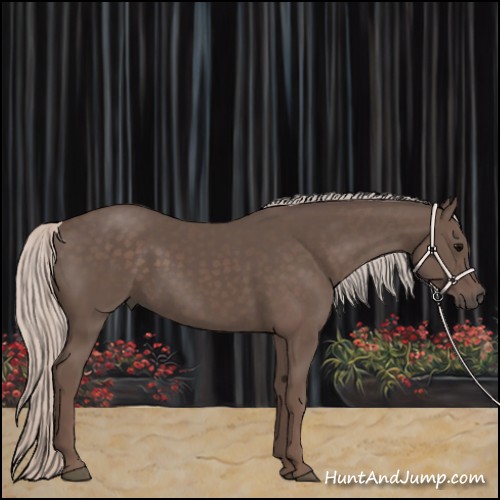 Horse Color:Silver Black 