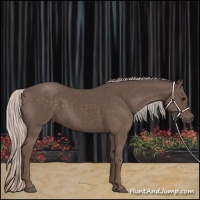 Horse Color:Silver Black 