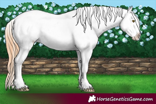 Horse Color:Smoky Blue Onyx Ice Pearl Blanket Rabicano