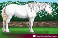 Horse Color:Smoky Blue Onyx Ice Pearl Appaloosa Rabicano