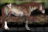 Horse Color:Red Onyx Ice Varnish Rabicano 