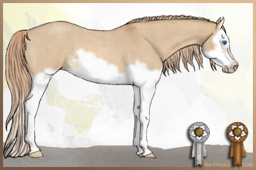 Horse Color:Red Dun Roan Splash Frame Rabicano 