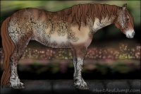 Horse Color:Red Onyx Ice 