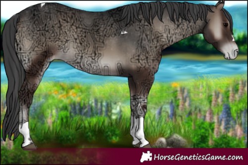 Horse Color:Blue Onyx Ice Tobiano Varnish