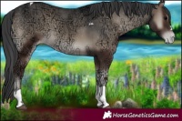 Horse Color:Blue Onyx Ice Tobiano Varnish 