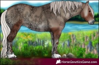 Horse Color:Silver Blue Onyx Ice
