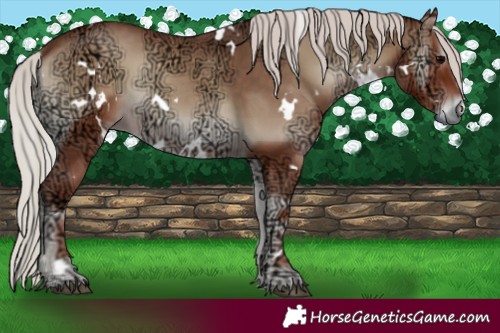 Horse Color:White Spotted Silver Blue Onyx Ice 