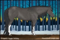 Horse Color:Grullo and Grullo