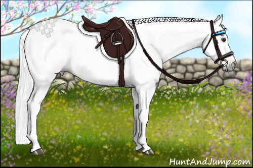 Horse Color:Gray Red Dun 