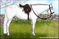 Horse Color:Gray Red Dun 