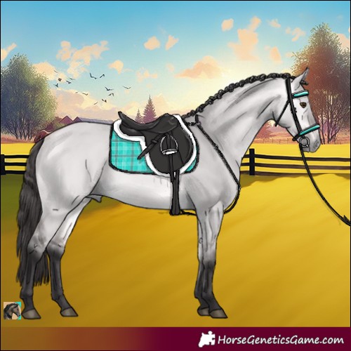 Horse Color:Platinum Buckskin Dun