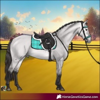 Horse Color:Platinum Buckskin Dun 