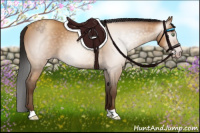 Horse Color:Gray Amber Champagne Roan 