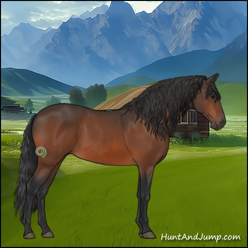 Horse Color:Bay 