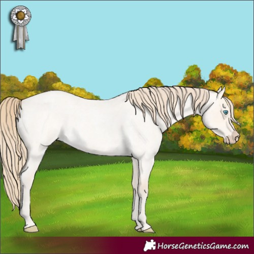 Horse Color:Perlino Roan Dun 