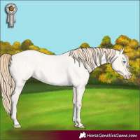 Horse Color:Perlino Roan Dun 