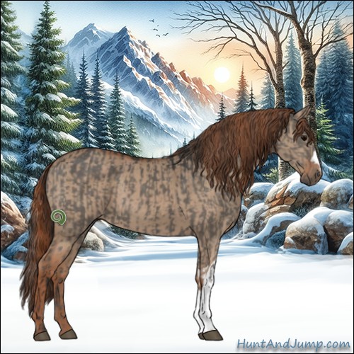 Horse Color:Grullo and Red Dun