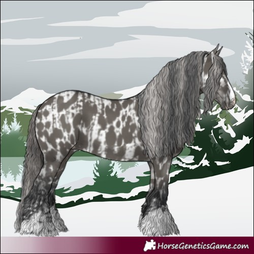 Horse Color:Grullo and Grullo Near Leopard