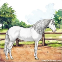 Horse Color:White Spotted Gold Cream Champagne Pearl Dun Splash Near Fewspot 