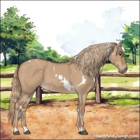Horse Color:White Spotted Red Dun Roan 