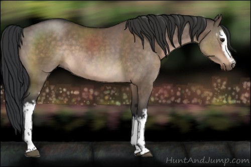 Horse Color:White Spotted Brown Dun Sabino 