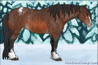 Horse Color:Brown Sabino Varnish Rabicano  and Bay Sabino Varnish Rabicano 