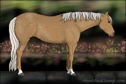 Horse Color:Silver Smoky Black 