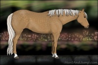 Horse Color:Silver Smoky Black 