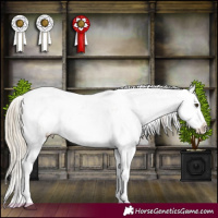 Horse Color:Chocolate Palomino Dun Sabino Rabicano