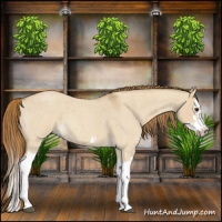 Horse Color:Red Dun Roan Splash Frame Rabicano 